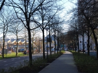 Дорога