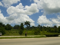 Я на автописте