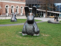 Зайцы возле Кунстхала, музея современного искусства в Роттердаме