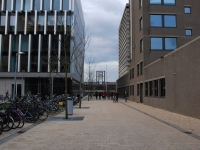 Роттердам, университет Эразма