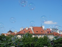 Пузыри 2017