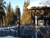 забор из старых лыж