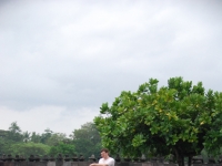 Я и дерево в Прамбанане